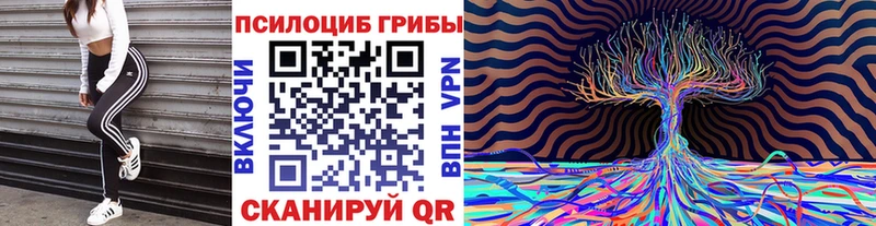 даркнет сайт  Гремячинск  мориарти клад  Псилоцибиновые грибы MAGIC MUSHROOMS 