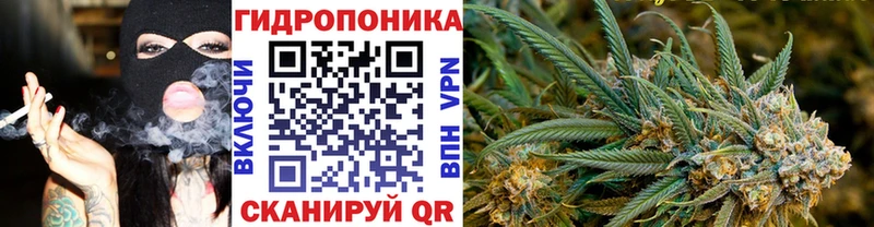 где найти наркотики Гремячинск Шишки марихуана MAZAR